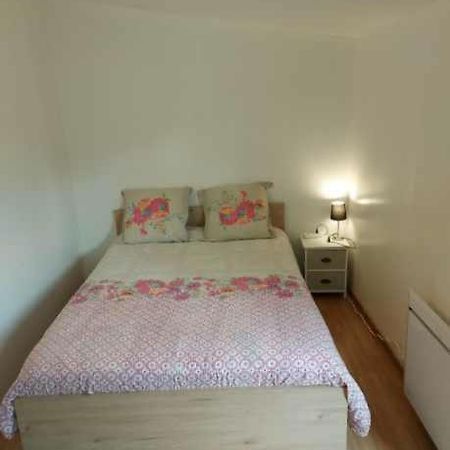 Studio Au Calme Wifi 600M Centre Ville Parking Gratuit Devant Castres  Exterior foto